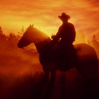 Cryptocurrency The Wild West Days