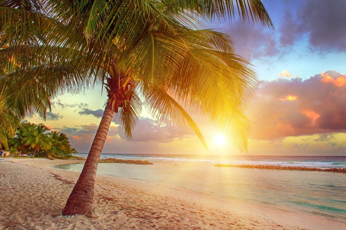 blockchain-barbados