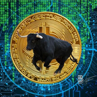 crypto bull run
