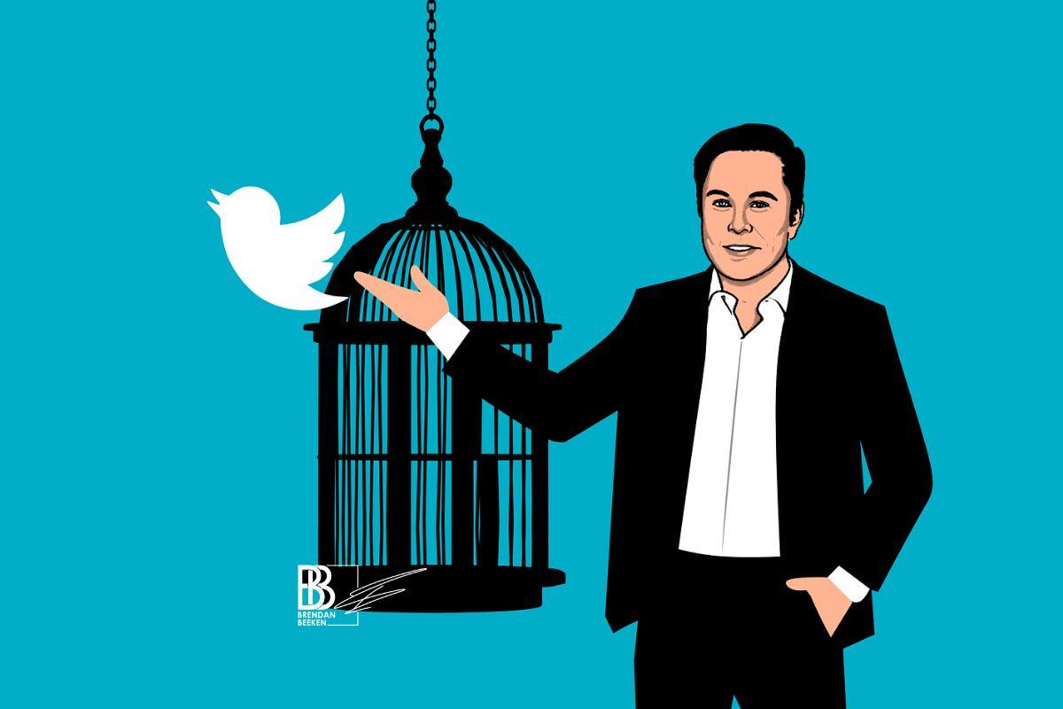 elon-musk-twitter-and-an-open-letter